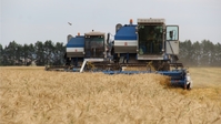 Очередной день приносит новые вести с хлебных полей Красночетайского района