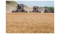 На 25 августа в республике собрано более 359 тысяч тонн зерна