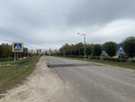 IMG 7491